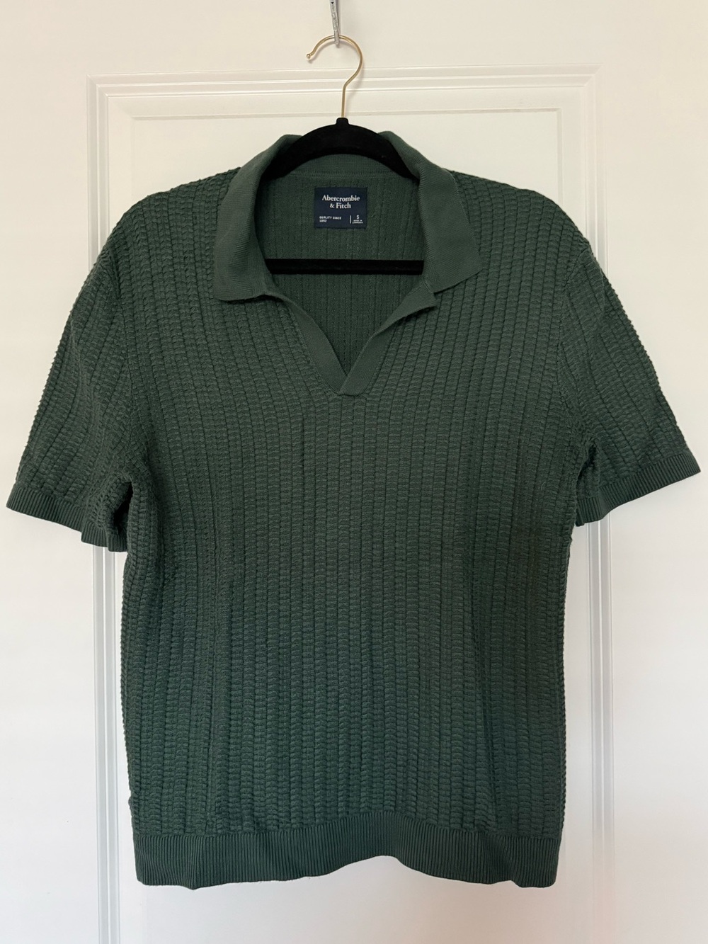 Abercrombie & Fitch Textured Short Sleeve Polo in Olive